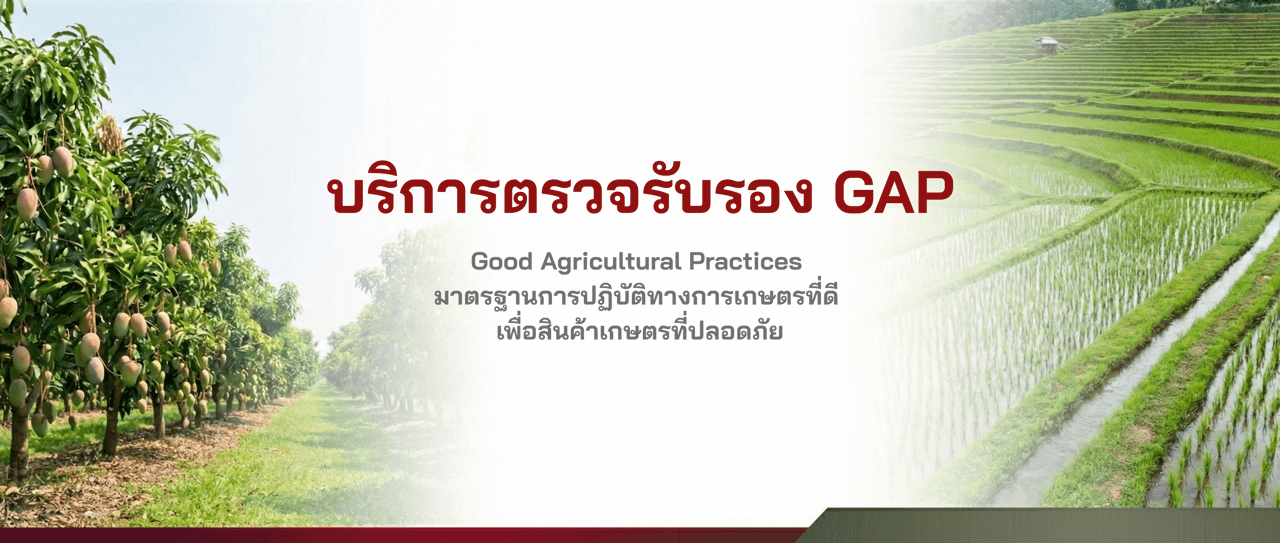 ตรวจรับรอง GAP