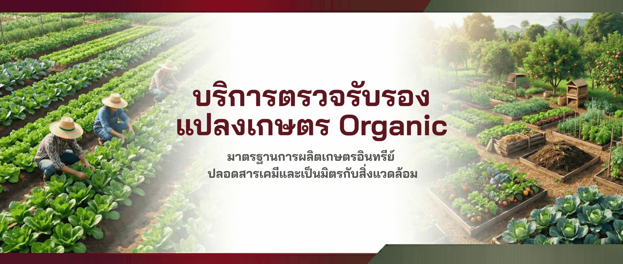 ตรวจรับรอง Organic